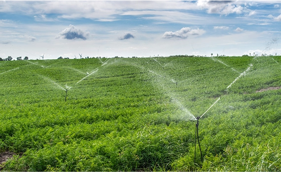 Tarımsal Sulama